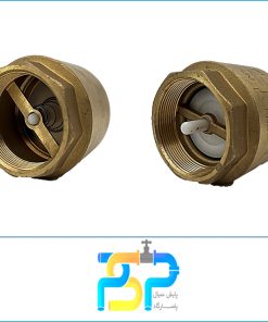 قیمت شیر برنجی